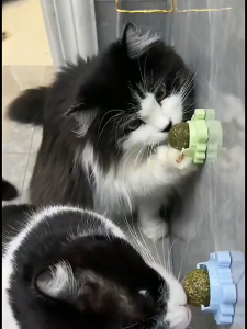 AimayaPet Permen Catnip Kucing Mainan Kucing Bola Catnip Rotating Catnip Ball Kesukaan Kucing Cemilan Kucing