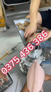 Máy xay bột dược liệu tam thất  đương qui . Nghiền bột ngũ cốc công suất 3000W - DF25