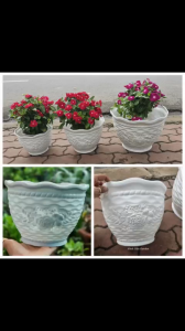 Chậu nhựa trồng cây đẹp màu trắng dày dặn thoát nước tốt trang trí góc tường ban công đẹp mắt