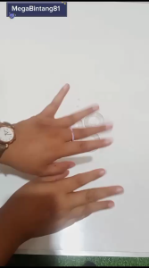 Klep Sprayer Polar dan Klep Tangki Semprot Polar