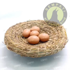 SEMPATI Tarangan Ayam Bebek Super Jumbo XXXL Sarang Susuh Serat Jerami Size Jumbo Besar Wadah Tempat Telur Bertelur Ngeram Ternak Ayam Mentok Angsa Unggas