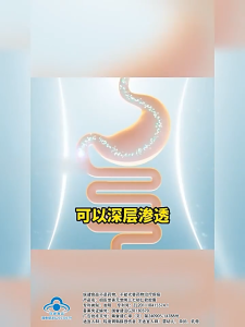 Zuyitang Li Shizhen Panax Notoginseng Amomum Villosum Soft Capsules Gastric Mucosa Protection Relieves Gastric Bloating