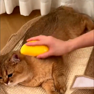 CODMALL Sikat Sisir Kucing Anjing Silikon Sisir Mandi Pijat Hewan Peliharaan Bentuk Mangga Silicone Grooming PET Brush Spray Massage Brush Sisir Bulu Hewan Sikat Pembersih Bulu Rontok Pet Brush Sisir Bulu Hewan R1131