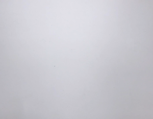 (1 pc) AAA to AA Size 7 to Size 5 Battery Cell Converter Adaptor Cylindrical Plastic Holder AAA转AA