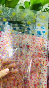 [1KG/SIZE] - TÚI NILON PP IN HỌA TIẾT ĐẸP DÙNG XÁCH ĐỒ ĐỰNG QUẦN ÁO MỸ PHẨM