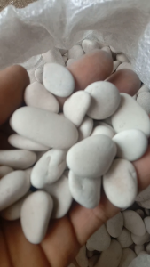 BATU PUTIH KUPANG 1KG DEKORASI AQUARIUM DAN TAMAN