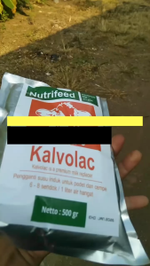 Susu Kalvolac Original 500 Gram: Solusi Nutrisi Ternak