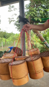 (1 อัน) กระติ๊บข้าวเหนียวไม่ไผ่ งานฝีมือชาวบ้าน ภูมิปัญญาคนภูไทบ้านกุดบอด ทรงสูง สวยงาม งานประณีต