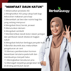 HerbalQulogy - DAUN KATUK Isi 60 & 100 Kapsul Murni alami 100% Original