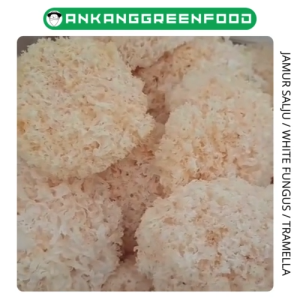 JAMUR SALJU JAMUR ICE YUN ER WHITE FUNGUS TREMELLA