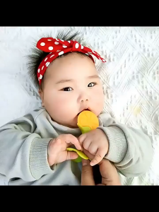 ZOEY Bpa Free Baby Bite Joy Teether Baby Fruit Teether Bahan Silikon Mainan Gigit Bayi Bentuk Buah  SGYJ