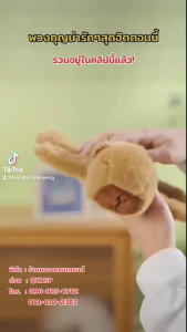 พวงกุญแจตุ๊กตาการ์ตูนสุดน่ารัก จี้ตุ๊กตาสัตว์หลากชนิดขนาดเล็ก พวงกุญแจสุดคิ้วท์ Sanrio และสัตว์อื่นๆ เหมาะเป็นของขวัญ