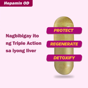 Silymarin Liver Care Protection Hepamin OD 300mg Milk Thistle Liver Aide Supplement