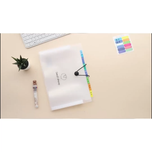 [HCM] Túi đựng tài liệu tệp đựng tài liệu nhiều ngăn kẹp tài liệu A4 đựng đề cương-Joyee