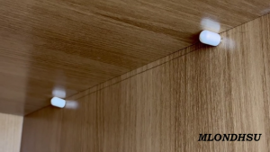 40 ชุด หมุดยึดชั้นวางของ พร้อมฝาปิดยาง กันลื่น สกรูแตะในตัว ที่รองตู้เสื้อผ้า ลามิเนต รองรับเล็บ ฉากกั้นกระจก สกรูยึด