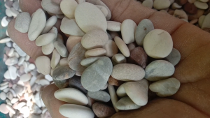 Batu hias pancawarna 1KG dekorasi aquarium dan aquascape