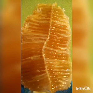 Joema Malaysia Official | Madu Pahit Joema | 650g Sebotol