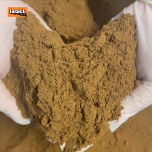 Bột Sâu Canxi nguyên chất 2kg INSECT VIETNAM -Thích hợp chế biến thức ăn vật nuôi