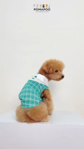 POMAPOO - Baju Kucing dan Baju Anjing Cornelia Dress Dan Cornel Polo