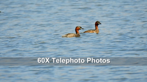 APEXEL 60x Super Telephoto Zoom Phone Lens APEXEL 36X 28X Powerful Monocular Metal Telescope Mobile telephoto lens for camping Tourism