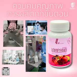 ผลิตภัณฑ์อาหารเสริมสำหรับผู้หญิง ลาล่า พริ้ง แบรนด์ ลัมปาณะ (Lala Prink brand Lampana) บรรจุ 30 แคปซูล Lala Prink - Lazada