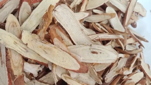 ชะเอมแห้ง ชะเอมเเห้งคัดพิเศษ ขนาด 200กรัม สินค้าพร้อมส่ง