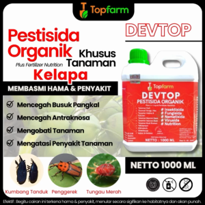 Obat Hama Pohon Kelapa: Perlindungan Optimal