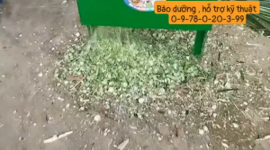 Máy băm cỏ voi 15kw tức 2 ngựa