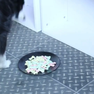 Bánh thưởng bánh quy vị sữa cho Chó (mẫu mới) - Love Pets Shop