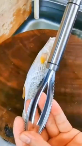 Stainless Fish Scales Scraping Graters Fast Remove Cleaning Peeler Scraper Bone Tweezers Tool Gadge Kitchen Accessorie Gadgets
