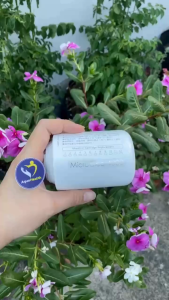 Lõi Lọc Panasonic TK-CJ600C-EX dùng cho máy lọc nước tại vòi TK-CJ600 TK-CJ300 công suất 4000 lít