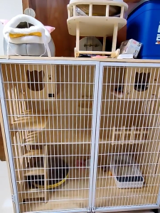 กรงแมว กรงขังแมว Pet Cage สำหรับแมว เครื่องปรุงวิลล่าแมวไม้ กรงเเมวอพาร์ทเมนต์ รวมบ้านแมวขนาดใหญ่