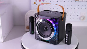 Livelylife Karaoke Speaker: A Comprehensive Guide