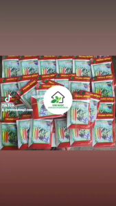 Hạt giống Bầu F1 trái dài ( bầu xưa) chánh nông