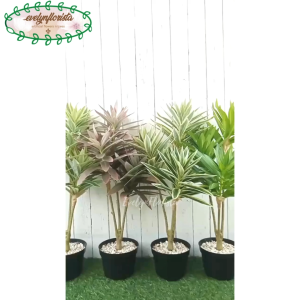 Pohon Hias Artificial Pandan Bali X3 Hijau Tepi Putih & Hijau Mini Semilatex Pot Dasar Hitam Dekorasi Aesthetic Ruang Tamu