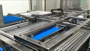 แคปซูลเปล่าเจลาติน สีเขียวขาว เบอร์ 0 500 มก 1ห่อ บรรจุ 1000 แคปซูล #แคปซูล #แคปซูลเปล่า #แคปซูลพืช #แคปซูลเจลาติน