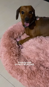 Luscious Oxford Pet Bed Dog Bed Cat Bed Washable Dog Bed Scratch Resistant & Water Proof Pet Calming Bed