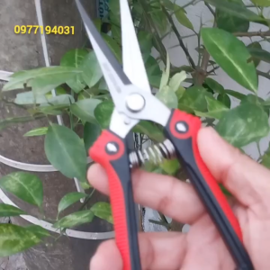 Kéo tỉa cành cây SK5 Japankéo tỉa dăm tỉa lá  bằng thép không gỉ- Kèm lò xo sơ cua