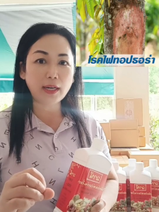 ลานี ผลิตภัณฑ์ ป้องกัน กำจัด ยับยั้ง เชื้อรา ในพืชทุกชนิด ทุเรียน มะขามหวาน นาข้าว มันสำปะหลัง
