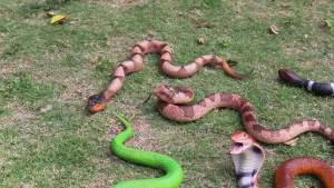 Sticky Rubber Snake 70cm Cobra/Round Snake Toys Tricky Toys Halloween Decorations