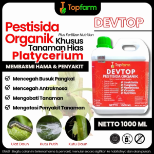Obat Tanaman Hias / Obat Hama Daun Platycerium / Obat Platycerium / Obat Hama Platycerium Wandae Papua / Obat Hama Platycerium Wandae Papua Bibit / Pupuk Platycerium Hili Papuanum