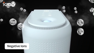 IONA Smart Humidifying Machine | H11 Filter Humidifier Dehumidifier Air Purifier - GLSD012