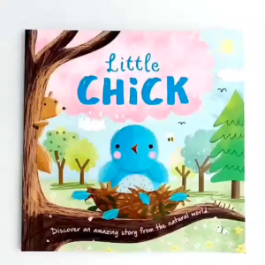 Childrens Library - Picture Flats / Story Books For Kids / 24 Pages / Paperback / English / Childrens Book / Bedtime Story Book