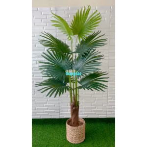 Pohon Plastik Tanaman Hias Palem Sadeng T160 Latex Cover Pot Eceng Gondok Dekorasi Rumah Hiasan Cafe