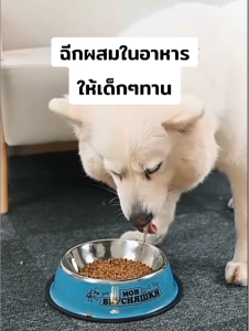 ขนมสุนัข ขนมแมว 🐶🐱 ปลาฉลามขัดฟัน ปลาฉลามแท้ อบแห้ง ขนมขัดฟันสัตว์เลี้ยง
