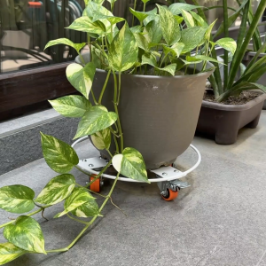 WARRIOR Circular Trolley/Dolly Heavy Duty Solid Metal Frame 40mm Swivel Caster one wheel w/ Brake 2 Colors for (Plants LPG and more) Indoor&Outdoor