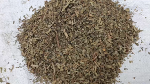 100 gram Daun Meniran Kering Murni (Daun+Buah)