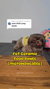 Luscious Pet Ceramic Slow Feeder Bowl Dog Bowl Cat Bowl Ceramic Microwavable Pet Feeder Bowl