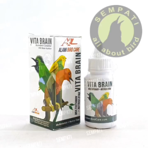 SEMPATI Vita Brain Alami: Vitamin Burung Untuk Meningkatkan Kecerdasan & Konsentrasi
