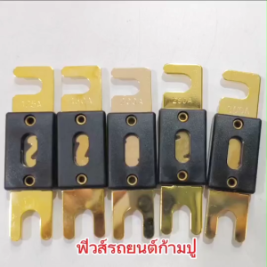 Butterfly Ecommerce ฟิวเบรกเกอร์ ฟิวรถยนต์ ฟิวก้ามปูขนาดใหญ่  แบบสลับเกลียว ขนาด2.25x8.1x1 CM มีให้เลือกหลายขนาด 125A/150A/200A/250A/300A จำนวน 1 ตัว